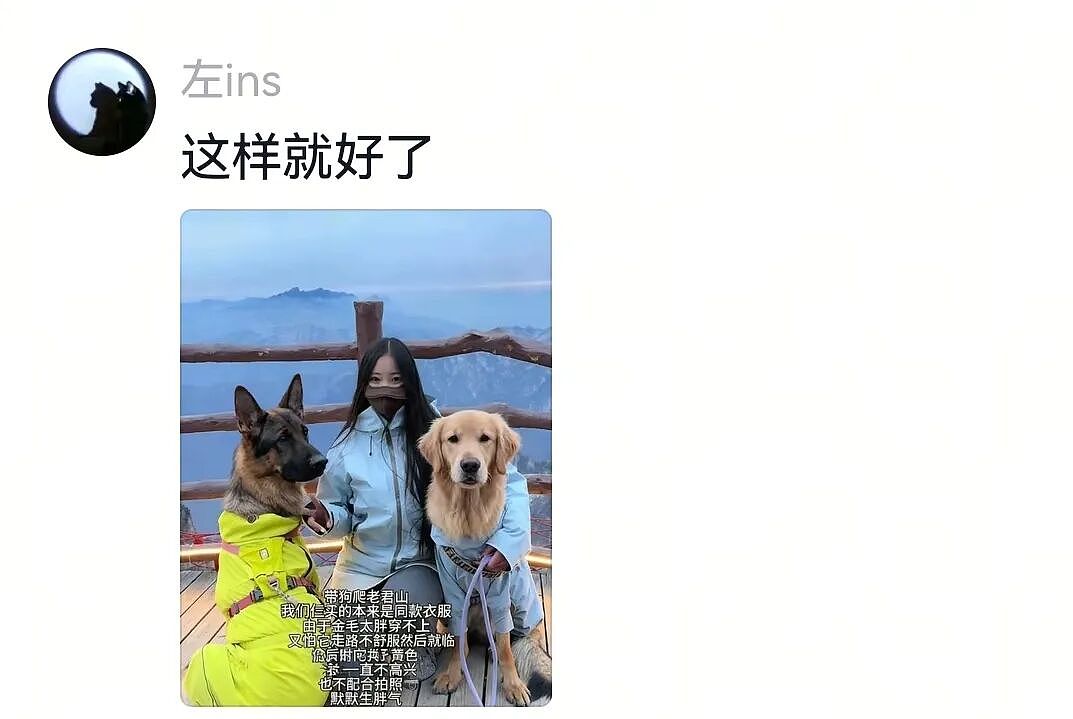 金毛被主人连续打击两次，吃醋闹脾气不肯拍照，主人一脸疑惑（组图） - 18