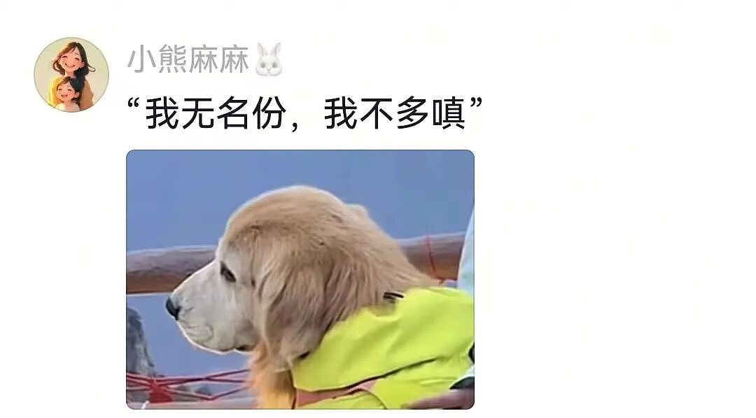 金毛被主人连续打击两次，吃醋闹脾气不肯拍照，主人一脸疑惑（组图） - 17