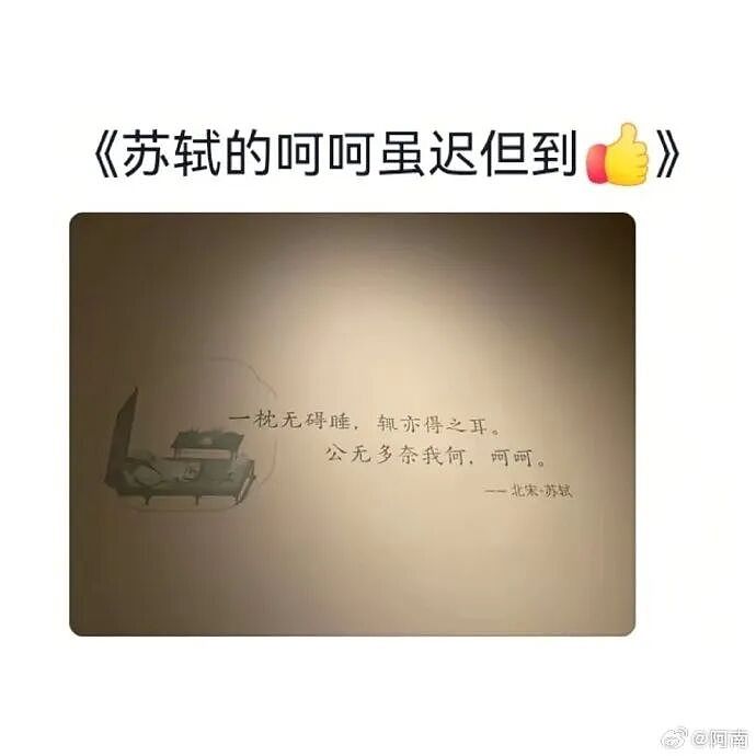 爸妈我婚房在浴室装了个电梯?网友笑疯:这效果看得我目瞪口呆!(组图) - 62
