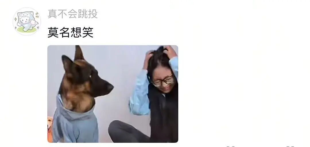 金毛被主人连续打击两次，吃醋闹脾气不肯拍照，主人一脸疑惑（组图） - 6
