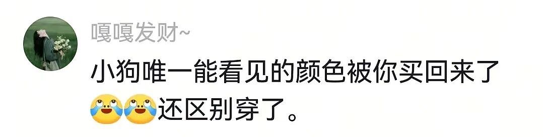 金毛被主人连续打击两次，吃醋闹脾气不肯拍照，主人一脸疑惑（组图） - 11