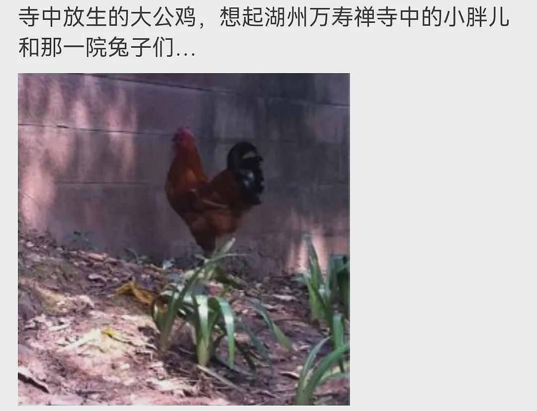 中年爆红的“好男人”专业户，一家四口幸福甜蜜，宠了十几年的妻子原来是她（组图） - 12
