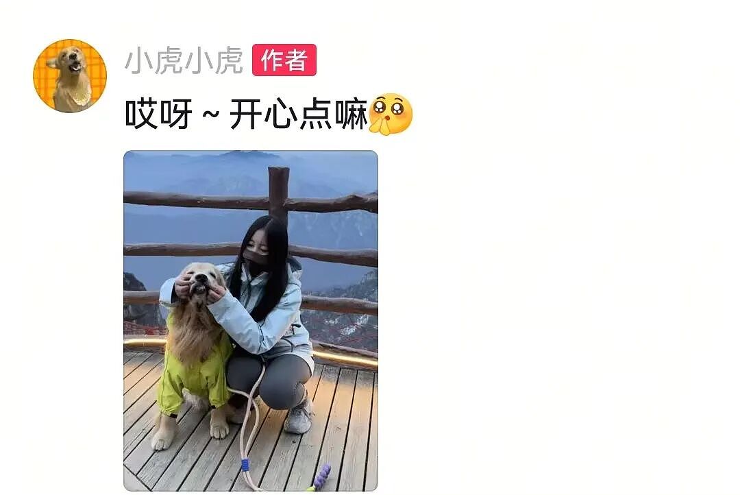 金毛被主人连续打击两次，吃醋闹脾气不肯拍照，主人一脸疑惑（组图） - 20
