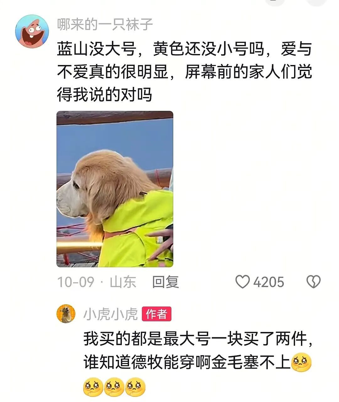 金毛被主人连续打击两次，吃醋闹脾气不肯拍照，主人一脸疑惑（组图） - 12