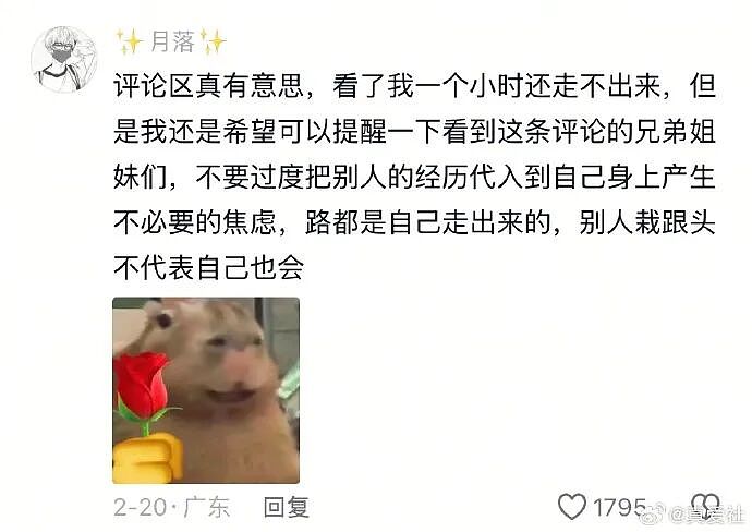 爸妈我婚房在浴室装了个电梯?网友笑疯:这效果看得我目瞪口呆!(组图) - 13