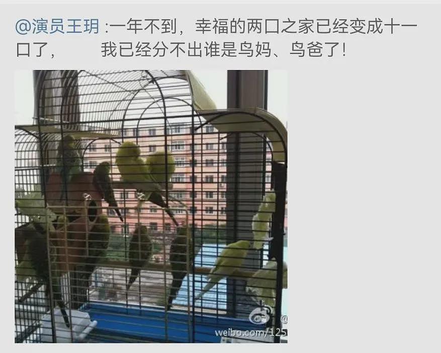 中年爆红的“好男人”专业户，一家四口幸福甜蜜，宠了十几年的妻子原来是她（组图） - 17