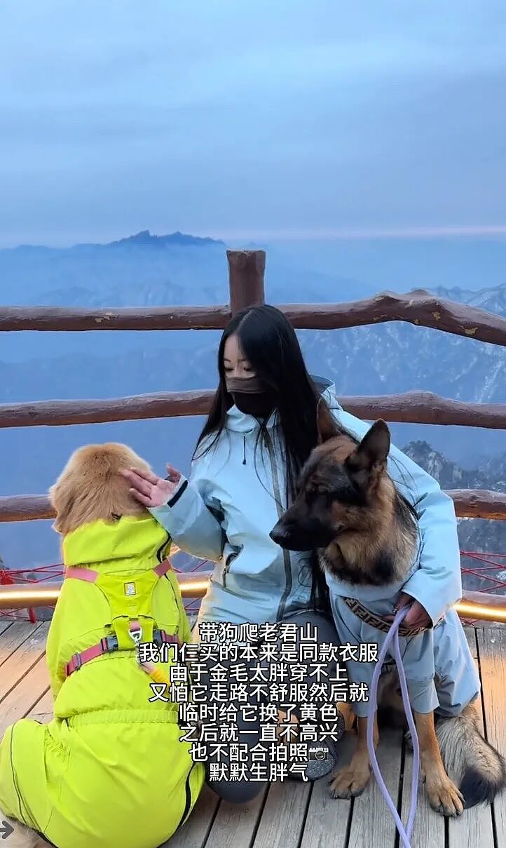 金毛被主人连续打击两次，吃醋闹脾气不肯拍照，主人一脸疑惑（组图） - 16