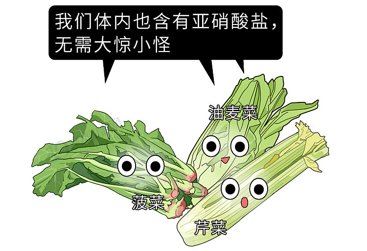 5种蔬菜已被列入“致癌名单”,吃多了会致癌?这些才真的要少吃(组图) - 11