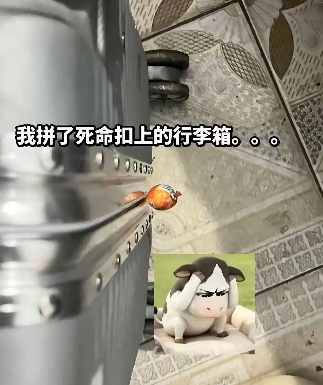 “和crush交流我的理财心得被狠狠奚落…?”哈哈哈华尔街之狼变华尔街之狗!(组图) - 26
