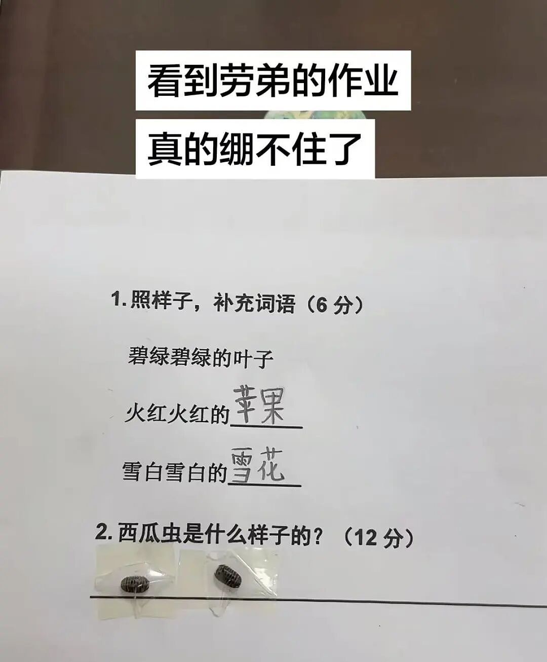 “和crush交流我的理财心得被狠狠奚落…?”哈哈哈华尔街之狼变华尔街之狗!(组图) - 77