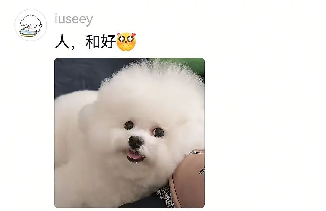 狗子被惹生气后对主人摆脸色，没想到主人使出美色诱惑！狗子害羞wink（组图） - 7