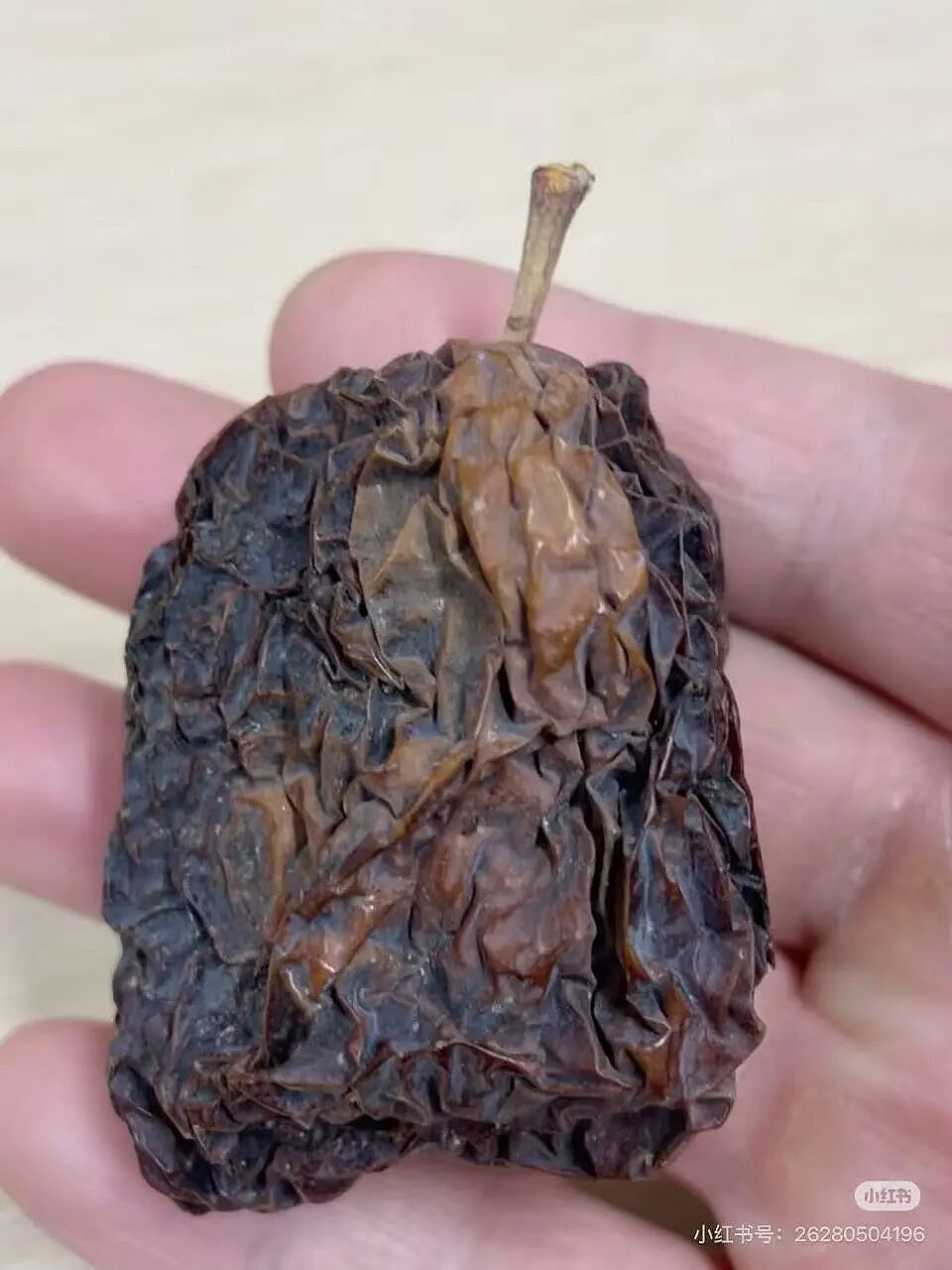 “和crush交流我的理财心得被狠狠奚落…?”哈哈哈华尔街之狼变华尔街之狗!(组图) - 46