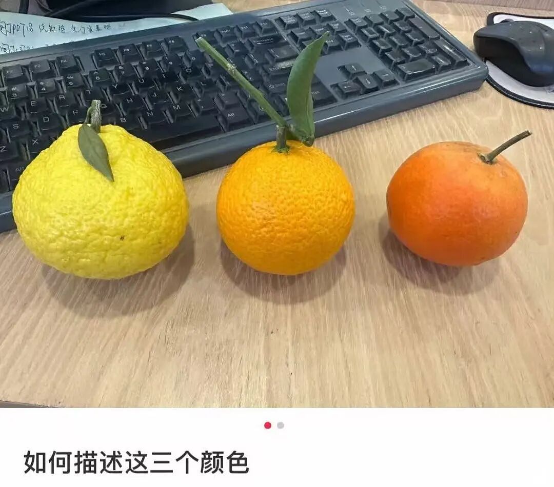 “和crush交流我的理财心得被狠狠奚落…?”哈哈哈华尔街之狼变华尔街之狗!(组图) - 68