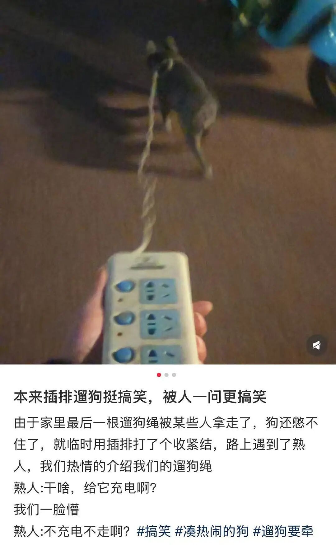 “和crush交流我的理财心得被狠狠奚落…?”哈哈哈华尔街之狼变华尔街之狗!(组图) - 29