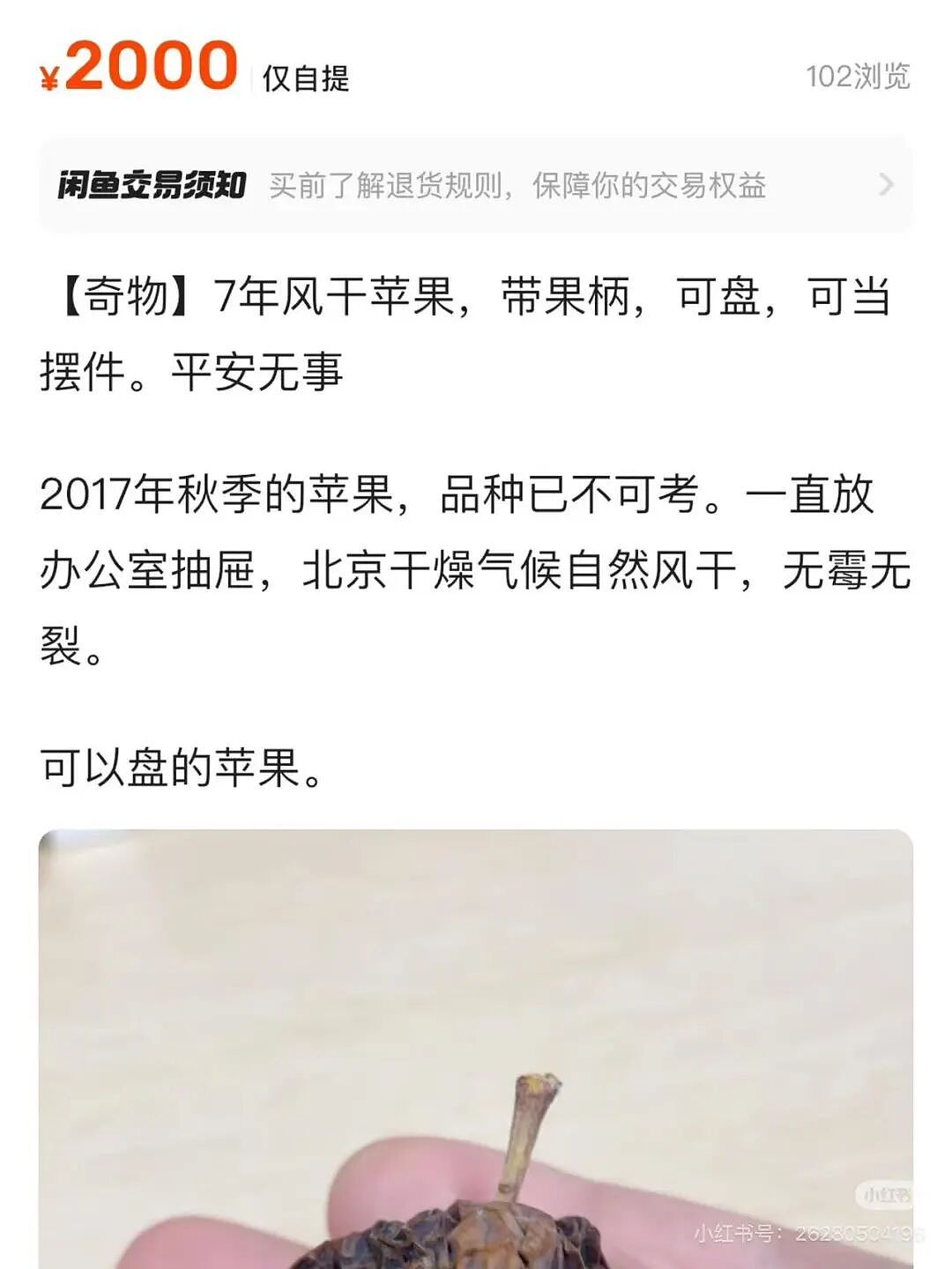 “和crush交流我的理财心得被狠狠奚落…?”哈哈哈华尔街之狼变华尔街之狗!(组图) - 45