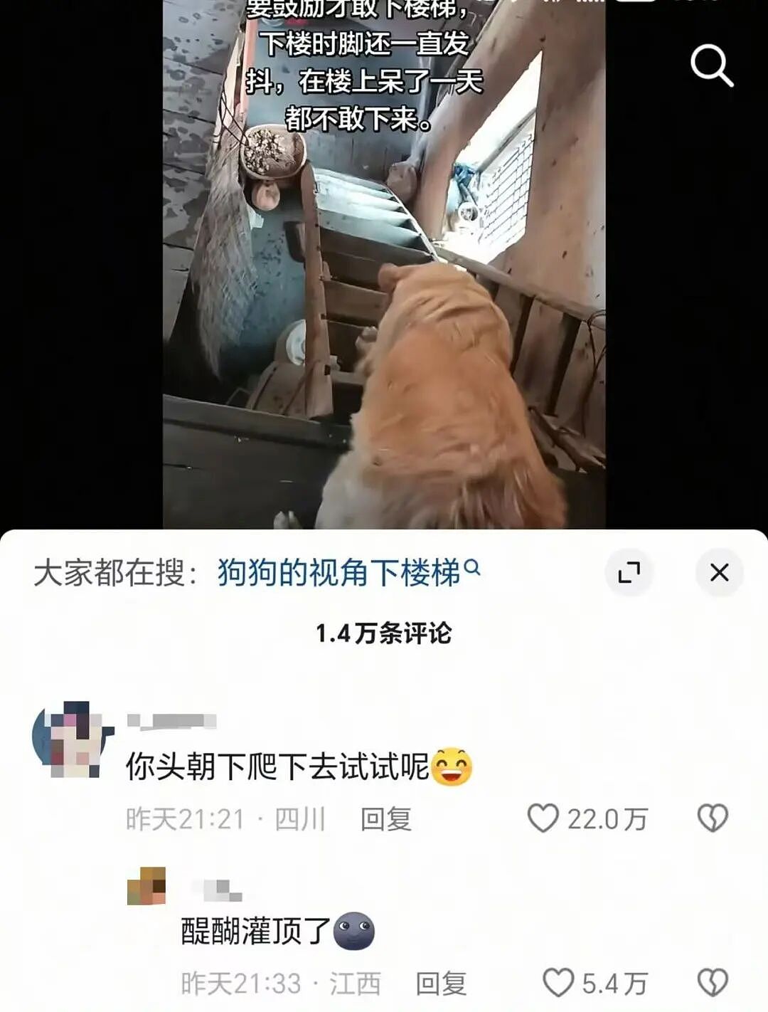 “和crush交流我的理财心得被狠狠奚落…?”哈哈哈华尔街之狼变华尔街之狗!(组图) - 35