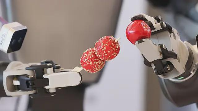 中国人形机器人之梦：当热度退潮，留下的是泡沫还是繁荣（组图） - 1