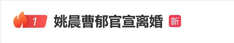 姚晨和曹郁发布联合声明官宣离婚:多年前,我们结束了婚姻关系,考虑到当时孩子年幼,并未对外公布(组图) - 1