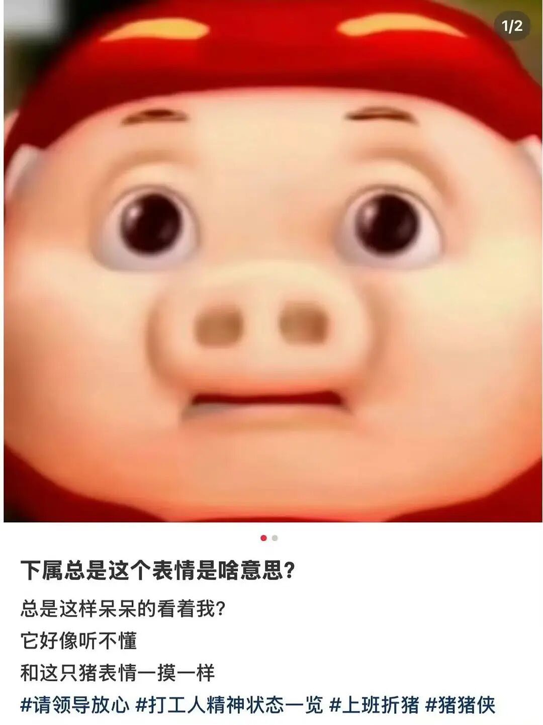 【爆笑】男友误发消息暴露了他是个姐妹?啊啊啊你男朋友要谈男朋友了(组图) - 25
