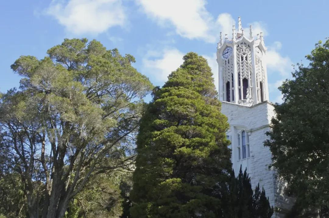 【成功案例】奥克兰大学：2026年7月开学教育学硕士Master of Education offer及课程介绍（组图） - 3