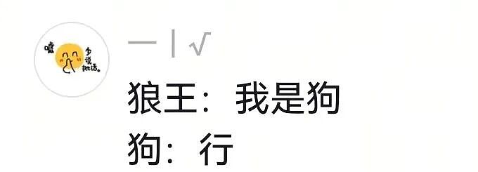 【宠物】网友将狼王误认为自家大黄，撸了半天发现手感不对，低头一看差点被吓死（组图） - 18