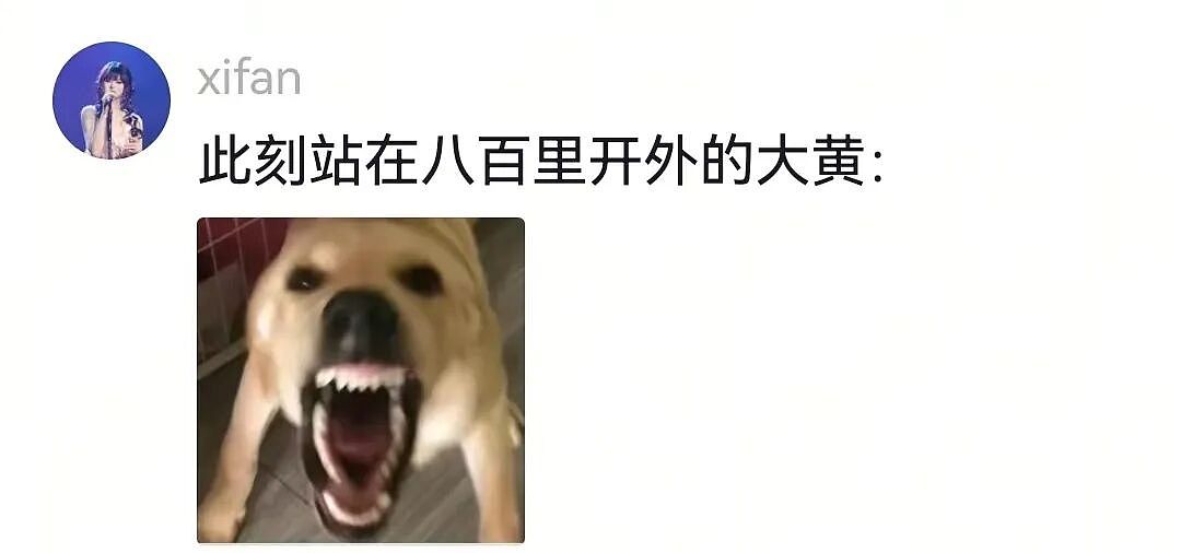 【宠物】网友将狼王误认为自家大黄，撸了半天发现手感不对，低头一看差点被吓死（组图） - 11