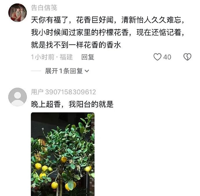 【爆笑】假如你突然中了五千万你会离职吗？ 网友评论亮瞎眼（组图） - 47