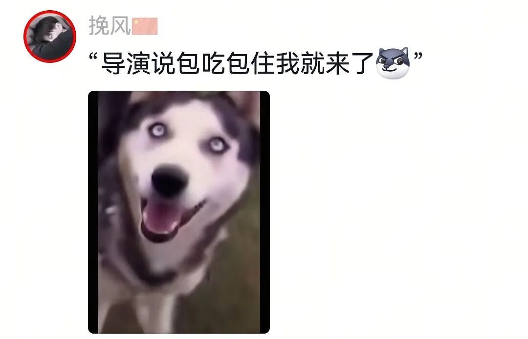 【宠物】网友将狼王误认为自家大黄，撸了半天发现手感不对，低头一看差点被吓死（组图） - 20