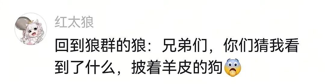 【宠物】网友将狼王误认为自家大黄，撸了半天发现手感不对，低头一看差点被吓死（组图） - 4