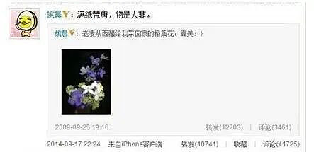 凌潇肃姚晨当年离婚!唐一菲社媒惨遭网暴....(组图) - 11