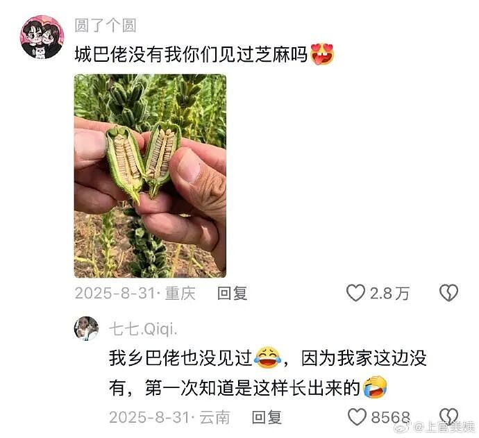 【爆笑】因为男朋友一个表情包引发的矛盾？网友解析：女生的第六感太绝了（组图） - 33