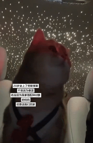 【宠物】20岁妹子坐上有星空顶的百万豪车,全凭送猫出去配种(组图) - 20
