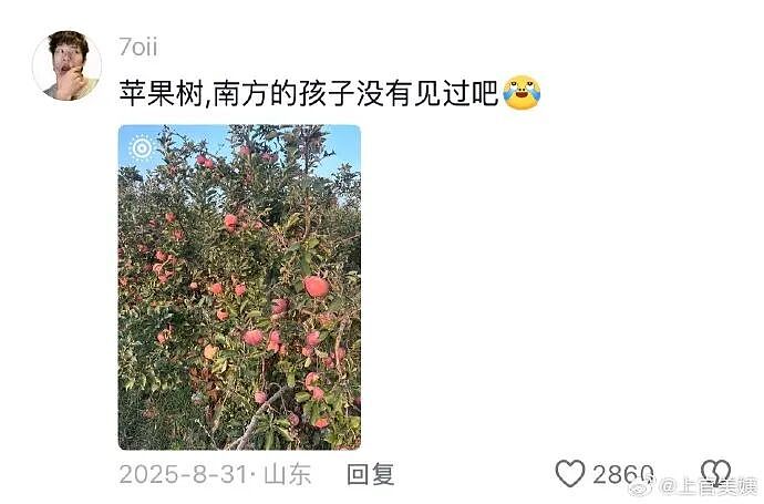 【爆笑】因为男朋友一个表情包引发的矛盾？网友解析：女生的第六感太绝了（组图） - 37