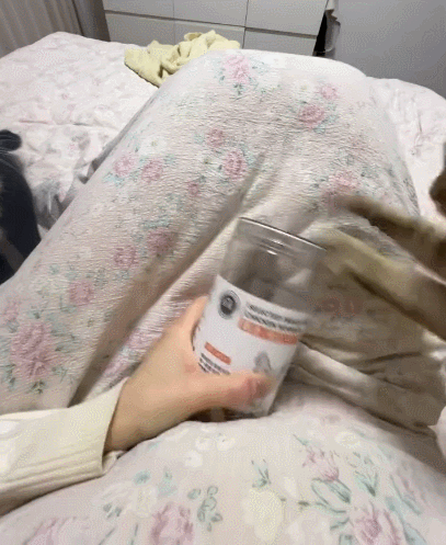 【宠物】20岁妹子坐上有星空顶的百万豪车,全凭送猫出去配种(组图) - 15