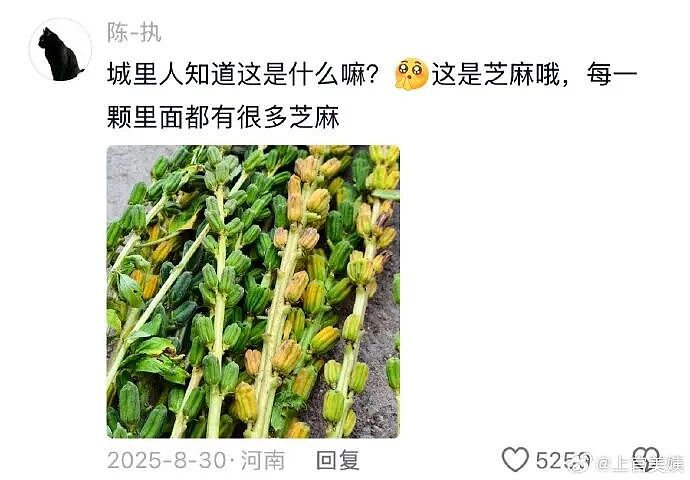 【爆笑】因为男朋友一个表情包引发的矛盾？网友解析：女生的第六感太绝了（组图） - 39