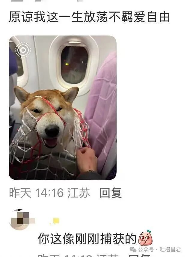 【爆笑】两位作家互相起诉对方抄袭自己...？哈哈哈你俩秀个恩爱搞这么大排场（组图） - 8