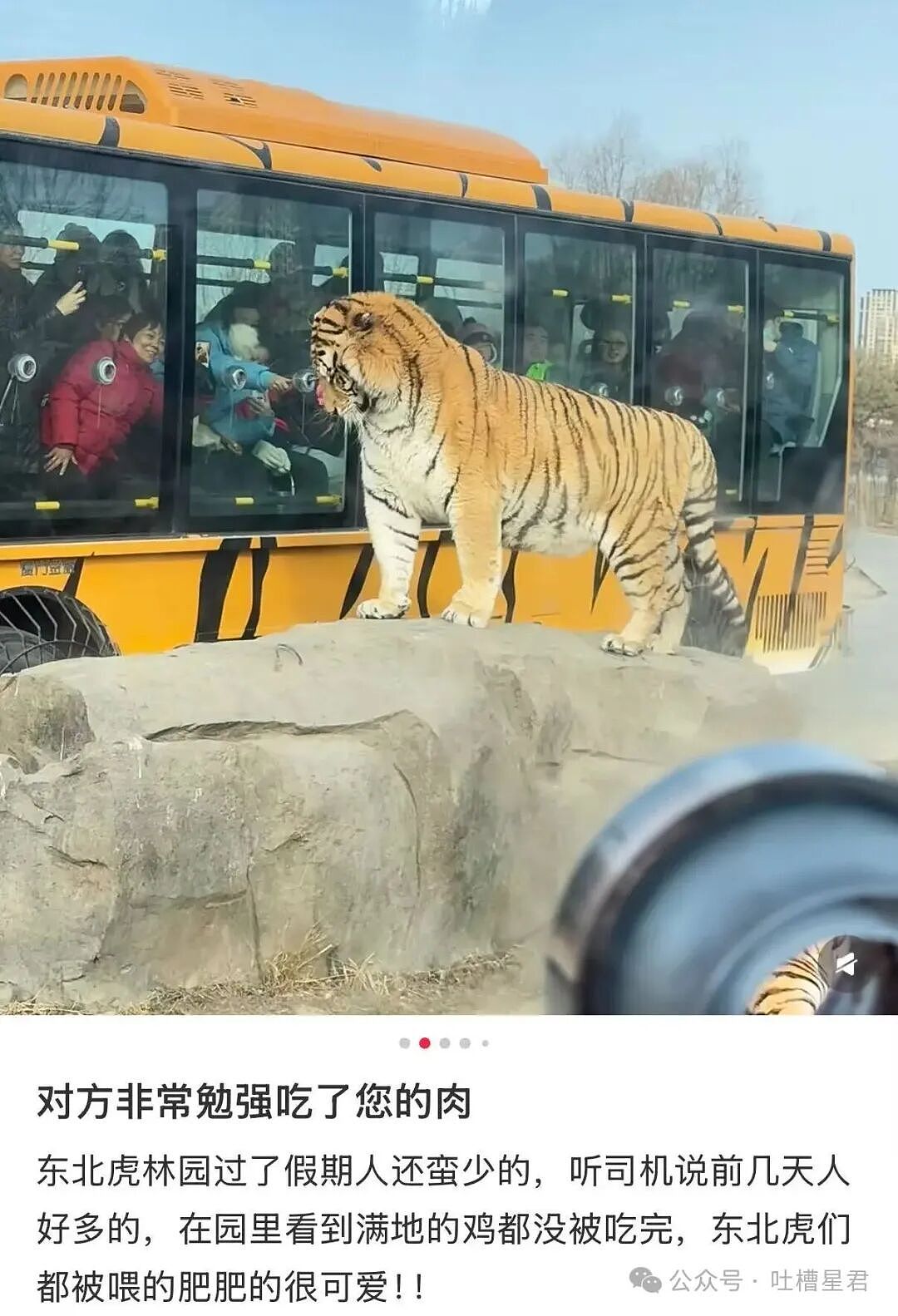【爆笑】两位作家互相起诉对方抄袭自己...？哈哈哈你俩秀个恩爱搞这么大排场（组图） - 12