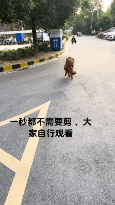 【宠物】主人回家发现猫孩子安静在床上,还在想今天怎么这么乖…推开门走近发现大事不妙(组图) - 1