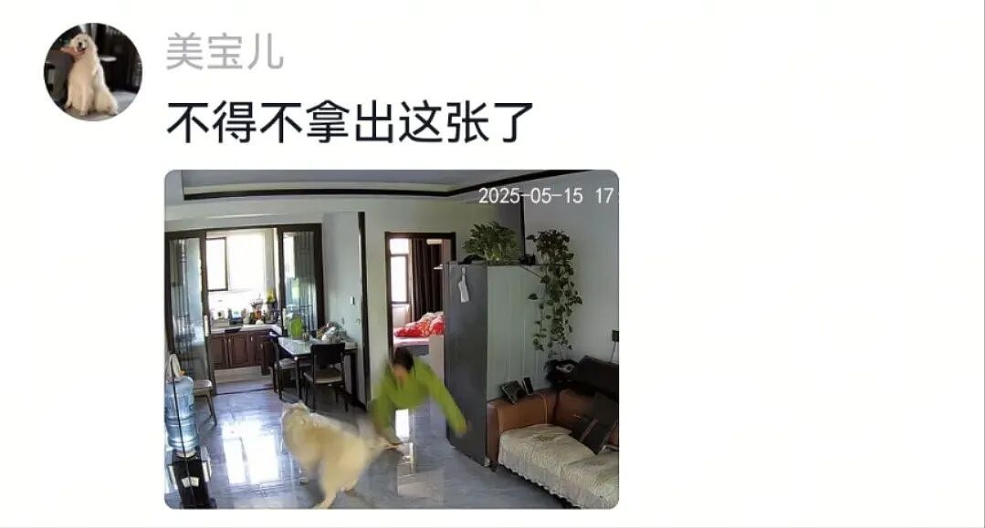 【宠物】主人回家发现猫孩子安静在床上,还在想今天怎么这么乖…推开门走近发现大事不妙(组图) - 2