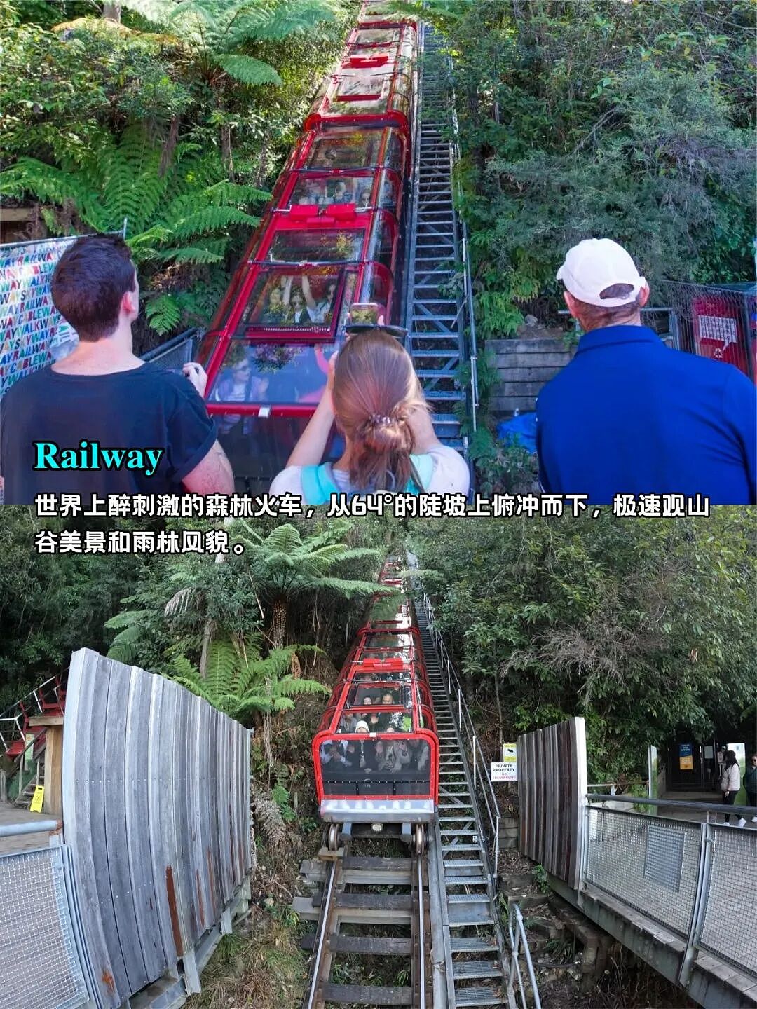 刚从蓝山回来,这条深度路线真的把经典和新意都拿捏了!(组图) - 5