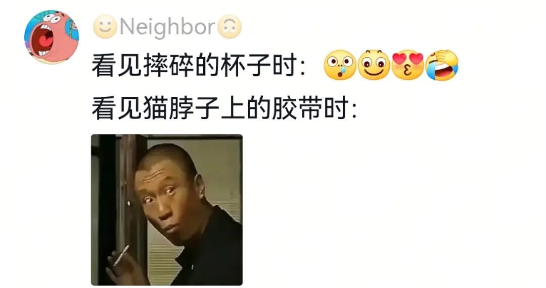 【宠物】主人回家发现猫孩子安静在床上,还在想今天怎么这么乖…推开门走近发现大事不妙(组图) - 6