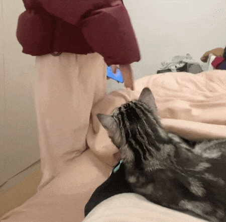 【宠物】小猫黏着女儿身上睡觉，妈妈吃醋一把把小猫薅下去，小猫秒懂，留女儿无能狂怒（组图） - 1