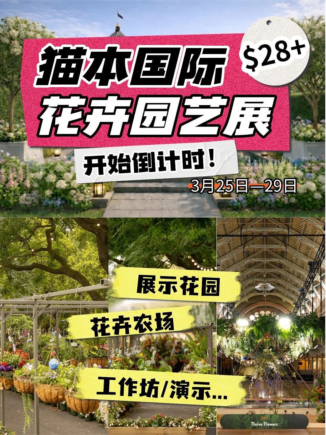 2026墨尔本国际花卉园艺展，打卡攻略快收好！（组图） - 2