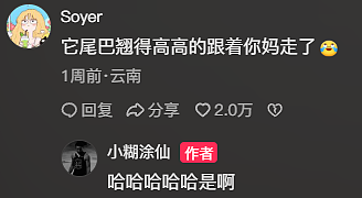 【宠物】小猫黏着女儿身上睡觉，妈妈吃醋一把把小猫薅下去，小猫秒懂，留女儿无能狂怒（组图） - 3