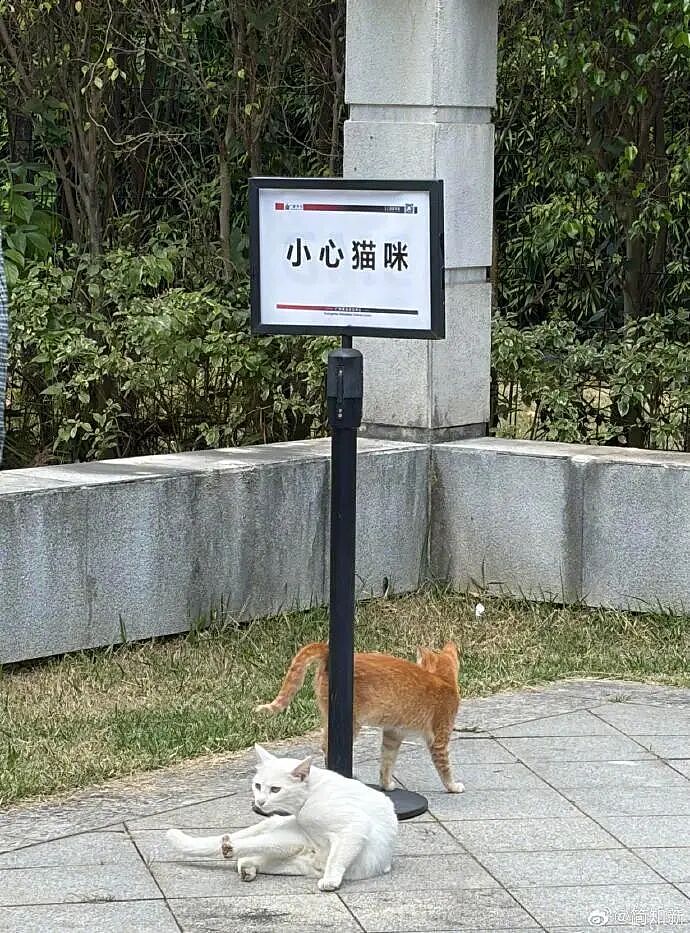 【爆笑】在X宝买了件纯欲风连衣裙,试穿后..?网友崩溃:眼睛要瞎了(组图) - 36