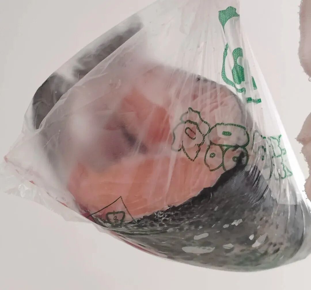【宠物】主人点外卖备注要三文鱼边角料喂猫，结果收到一大盘肉，猫都惊呆了：谢谢老板！（组图） - 6