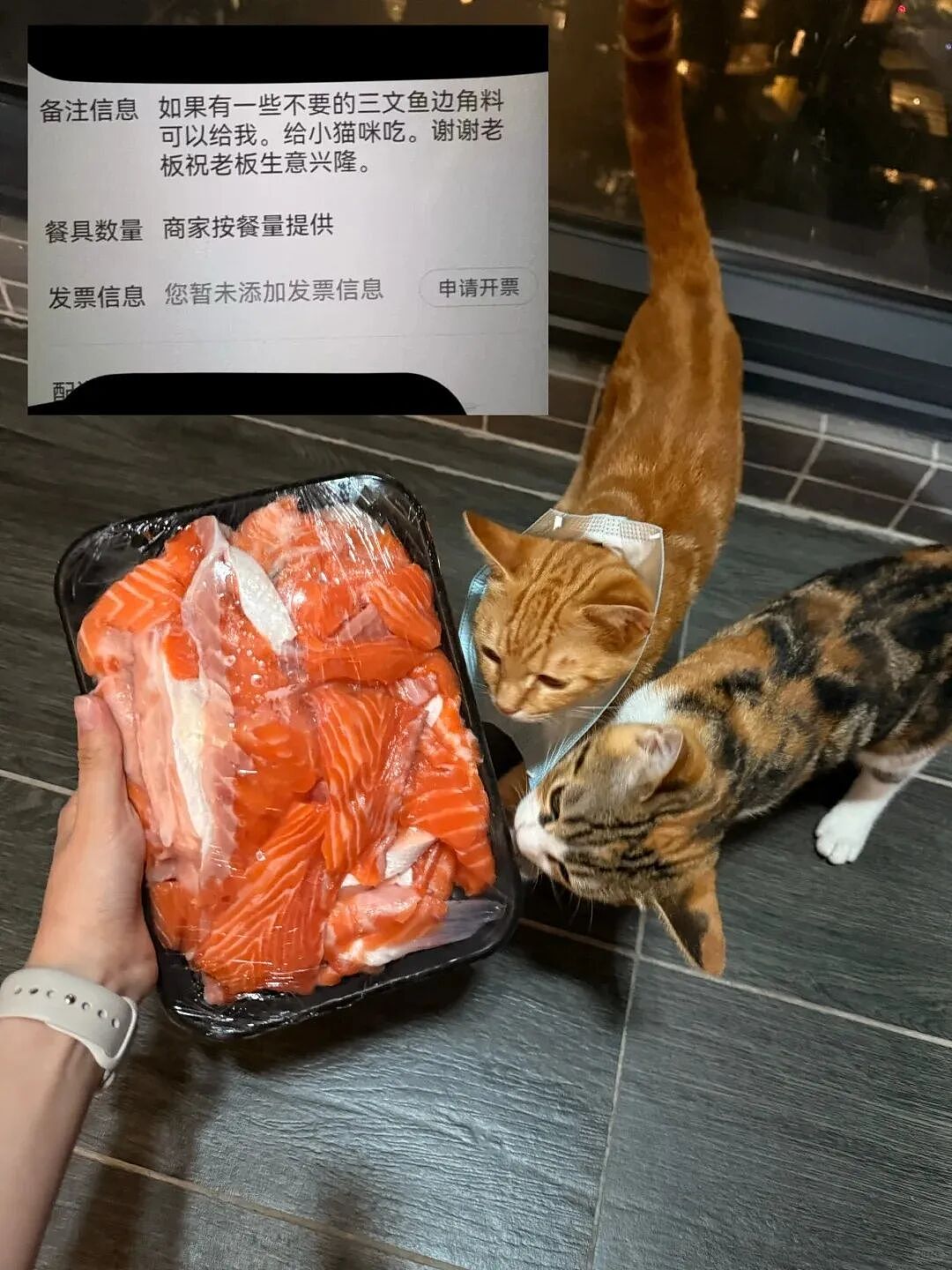 【宠物】主人点外卖备注要三文鱼边角料喂猫，结果收到一大盘肉，猫都惊呆了：谢谢老板！（组图） - 1