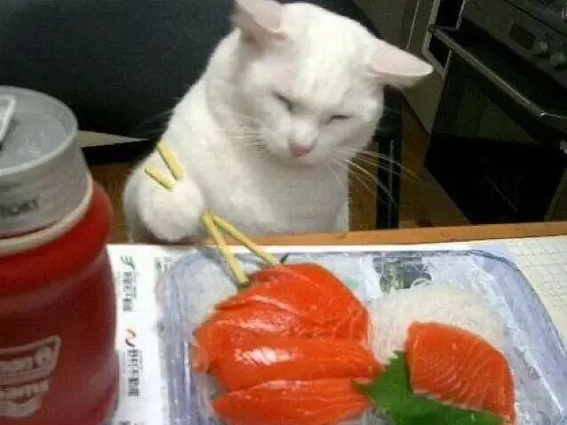 【宠物】主人点外卖备注要三文鱼边角料喂猫，结果收到一大盘肉，猫都惊呆了：谢谢老板！（组图） - 7