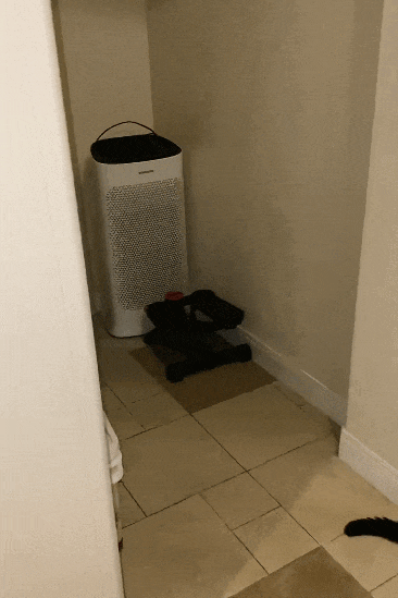 【宠物】一模一样的猫为什么要养15只！复制粘贴复制粘贴…网友：看着很解压！（组图） - 13