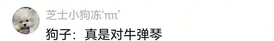 【宠物】狗子见主人吃东西不喊自己,上一秒不在乎,下一秒直接破防…网友:孩子的情绪全写脸上了(组图) - 15